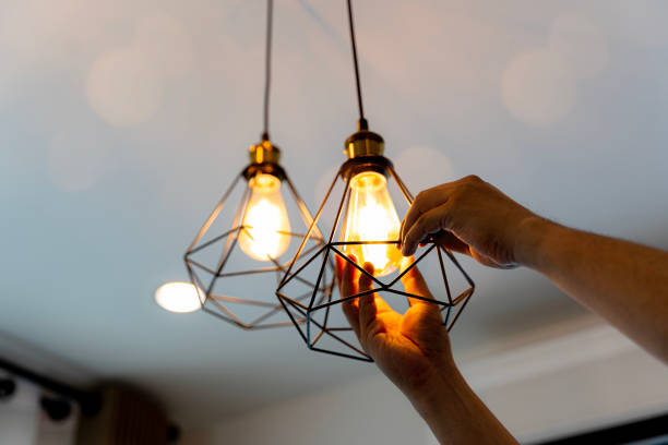 Best Electric Panel Repair  in Pine Bush, NY